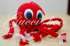 caracatita