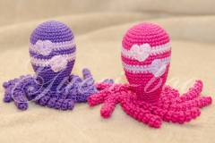 octo2