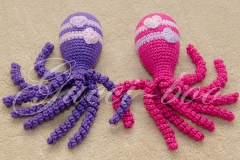 octo6